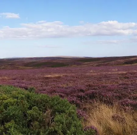 5m Xl Bell Tent With Log Burner Near Whitby *